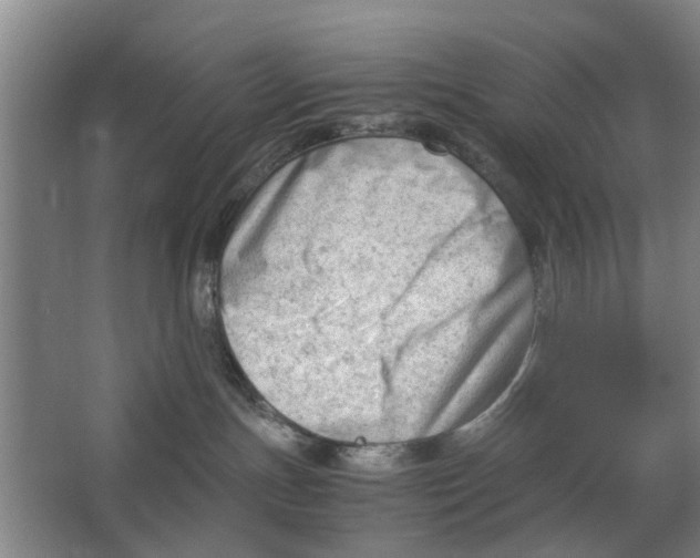 X0000062870191200601271605