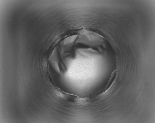 X0000062870192200601271605