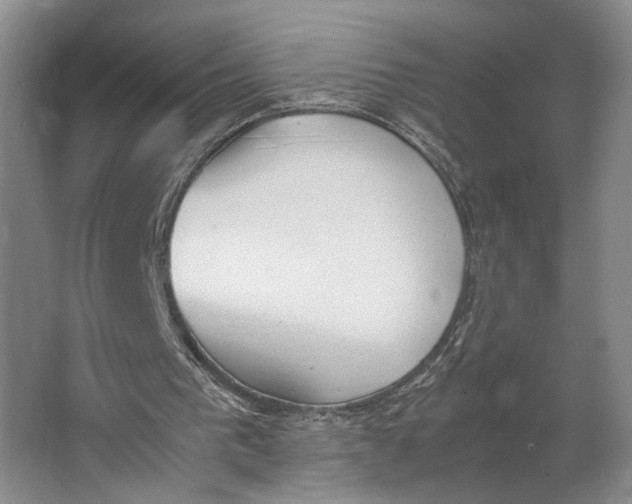 X0000062870193200601271604