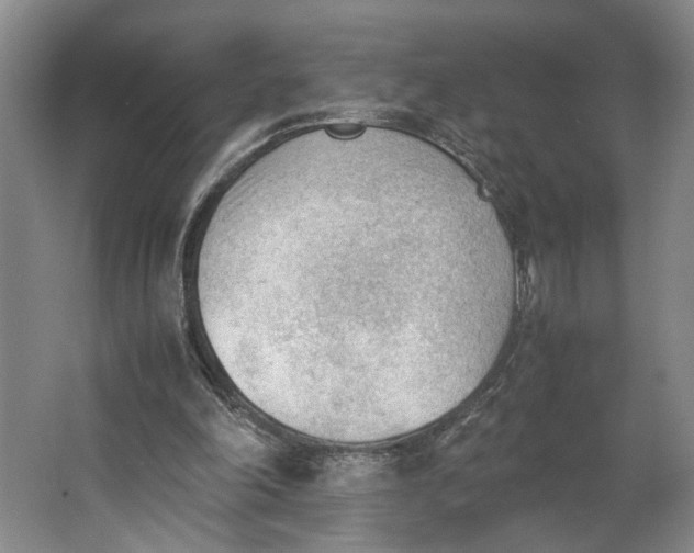 X0000062870198200601271604