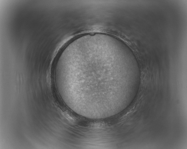 X0000062870200200601271604