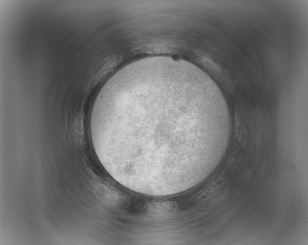 X0000062870202200601271604