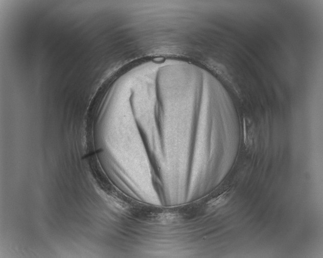 X0000062870204200601271604