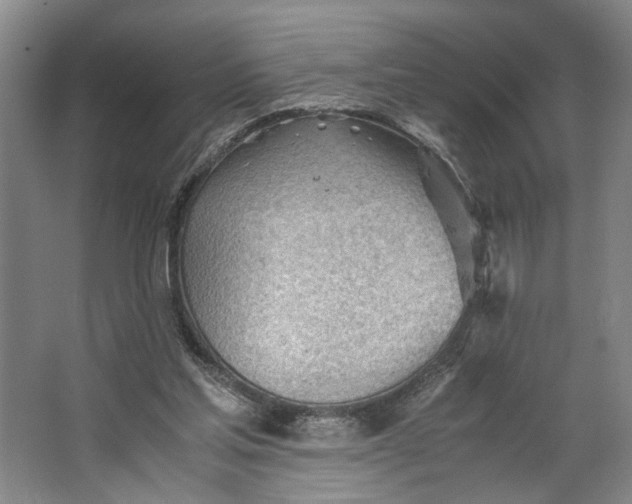 X0000062870205200601271604