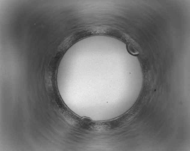 X0000062870209200601271604