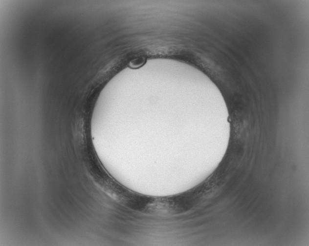 X0000062870211200601271604