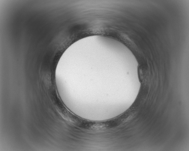 X0000062870213200601271604