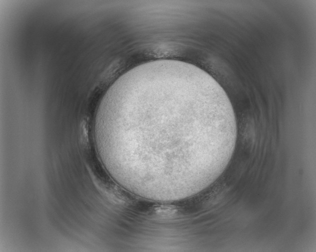 X0000062870214200601271604