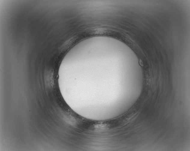 X0000062870216200601271604