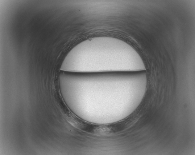 X0000062870217200601271604