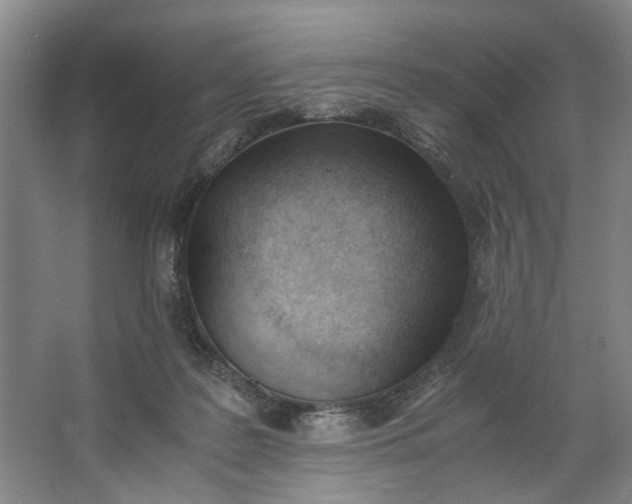 X0000062870219200601271604