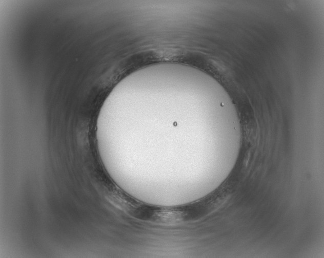 X0000062870221200601271604