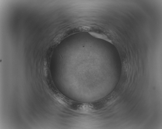 X0000062870223200601271604