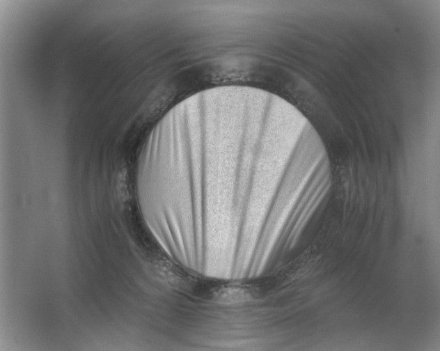 X0000062870224200601271604