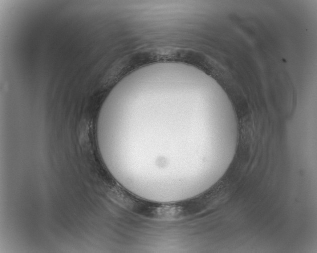 X0000062870225200601271604