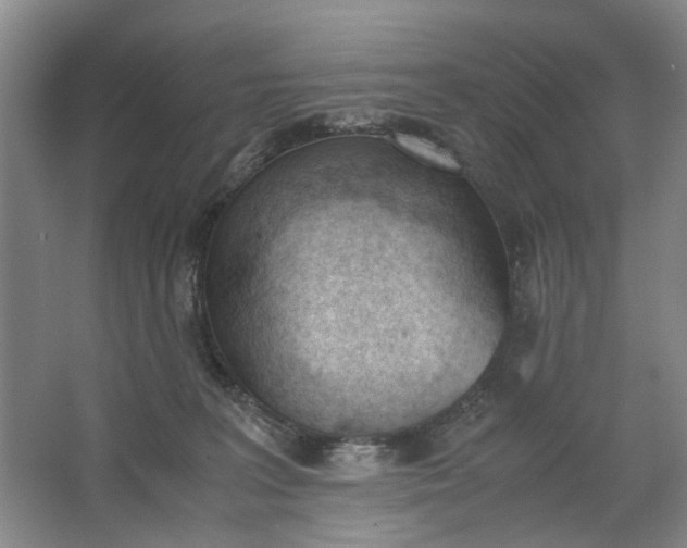 X0000062870227200601271604