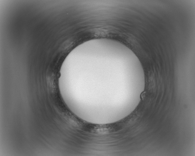 X0000062870228200601271604