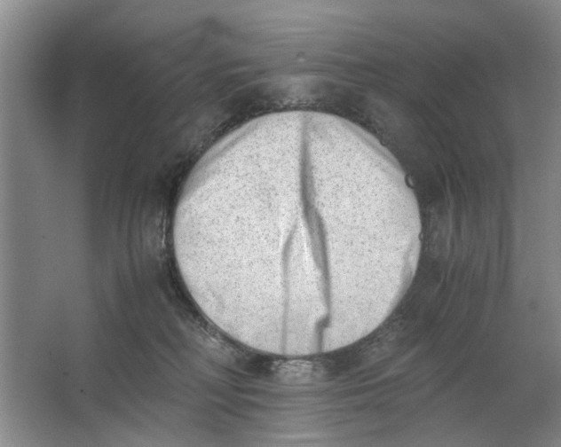 X0000062870230200601271604