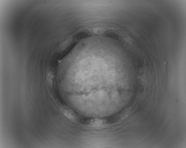 X0000062870235200601271604