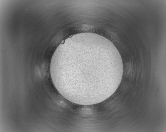 X0000062870236200601271604