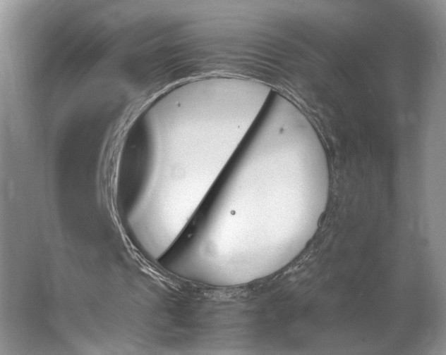 X0000062870241200601271603