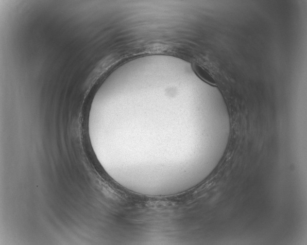 X0000062870242200601271603