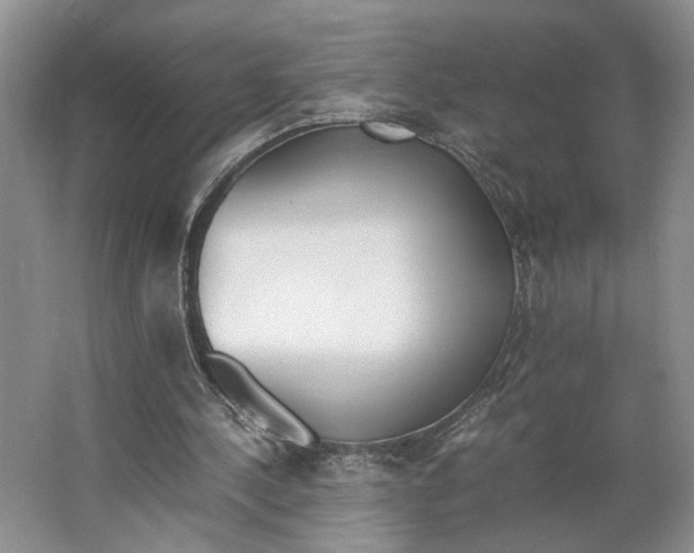 X0000062870244200601271603