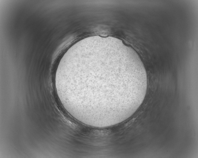 X0000062870245200601271603