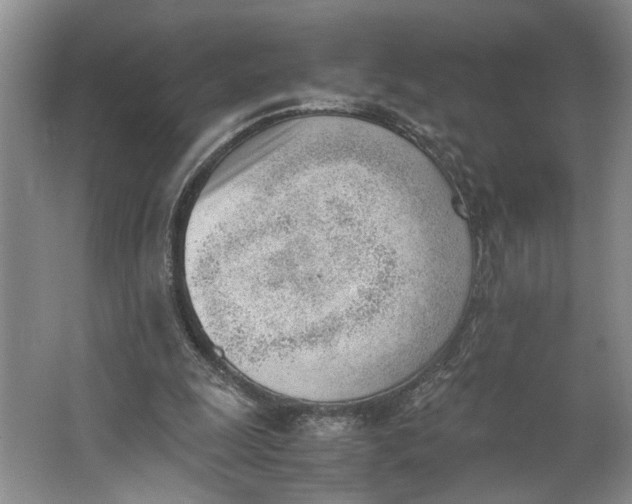 X0000062870247200601271603