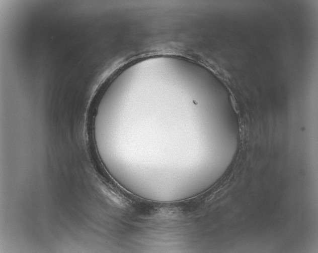 X0000062870248200601271603