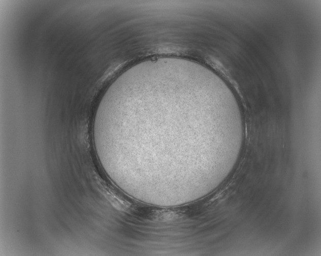 X0000062870249200601271603