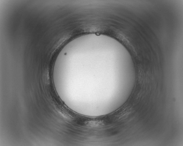 X0000062870251200601271603