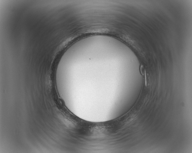 X0000062870252200601271603