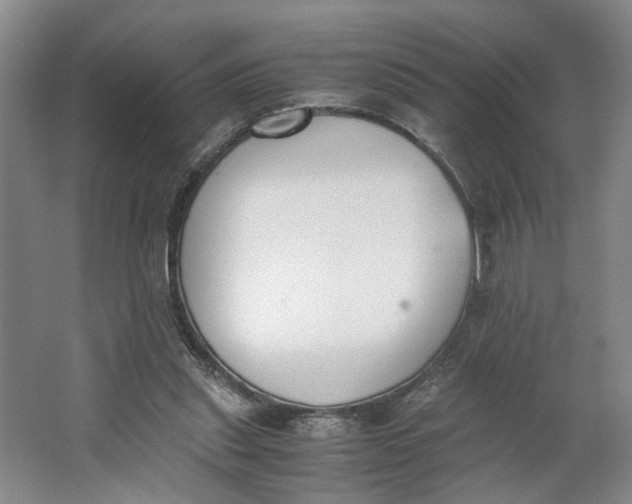 X0000062870253200601271603