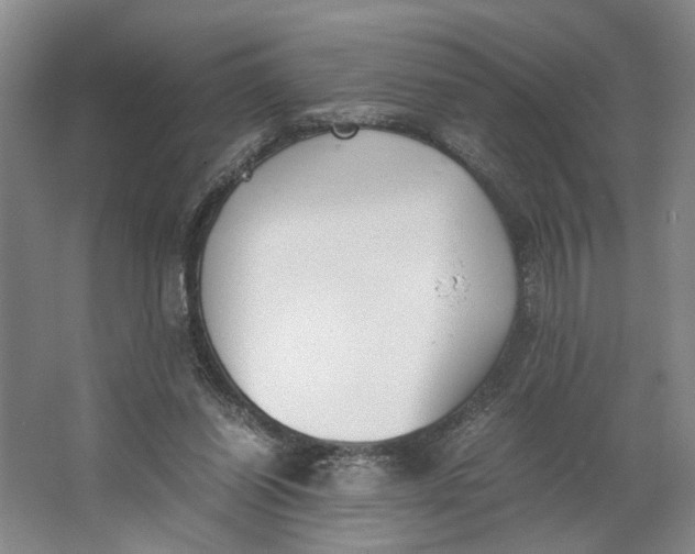 X0000062870254200601271603