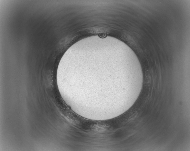 X0000062870255200601271603