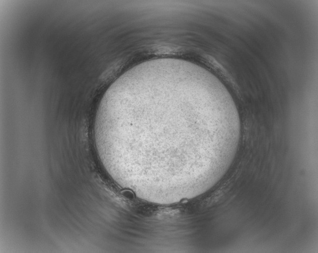 X0000062870257200601271603