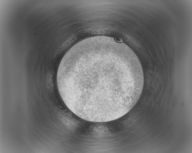 X0000062870258200601271603