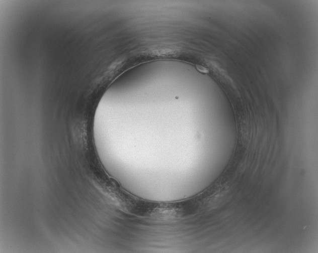 X0000062870260200601271603