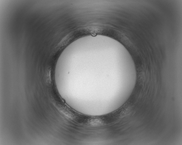 X0000062870262200601271603