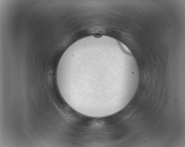 X0000062870263200601271603