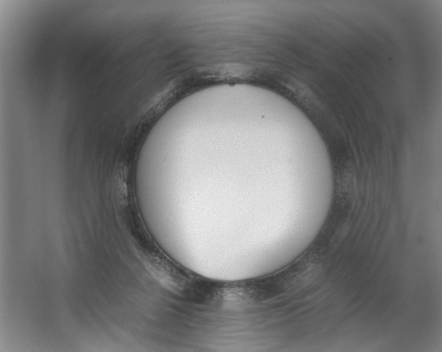 X0000062870264200601271603