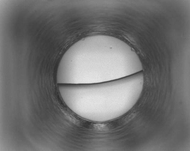 X0000062870265200601271603