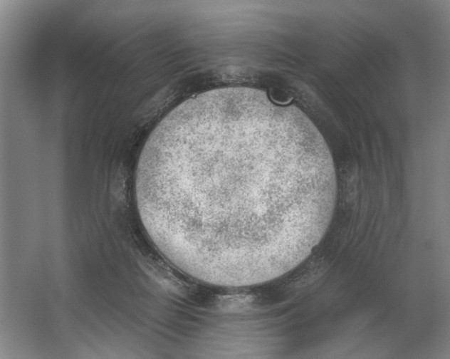 X0000062870266200601271603