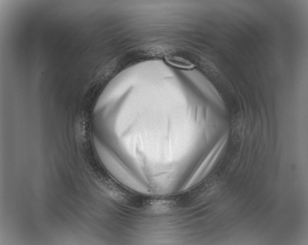 X0000062870268200601271603