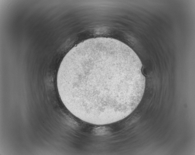 X0000062870269200601271603