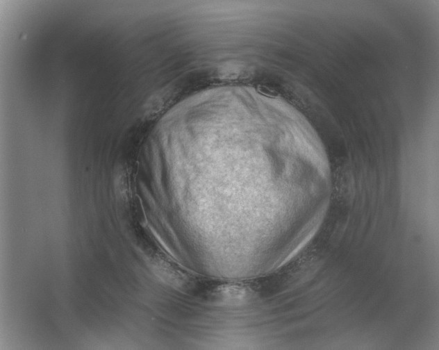 X0000062870272200601271603