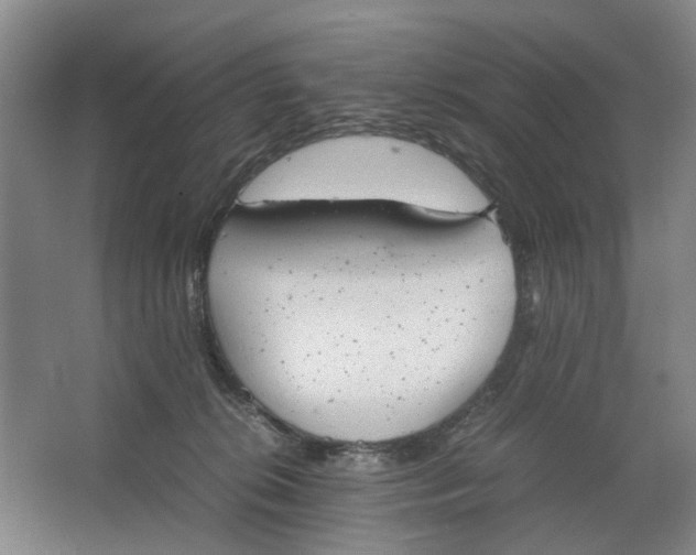 X0000062870276200601271603