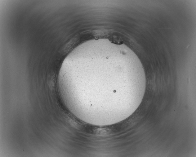 X0000062870277200601271604