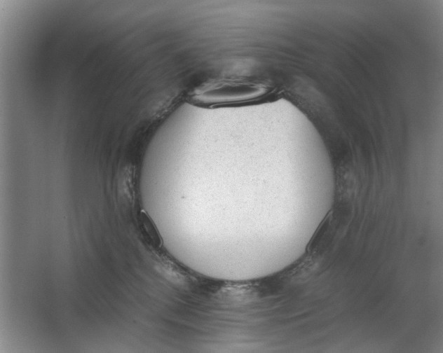 X0000062870280200601271604